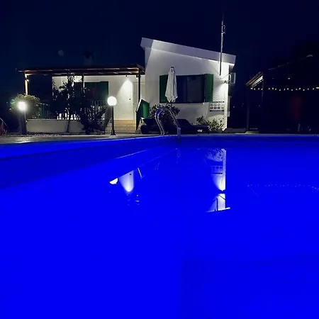 Xenia *